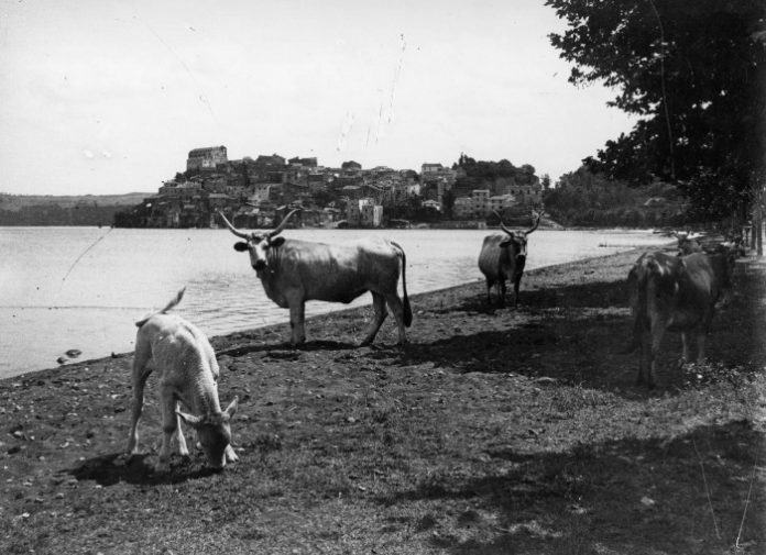 LE TAPPE DEL VIAGGIO Anguillara / foto Contrasto